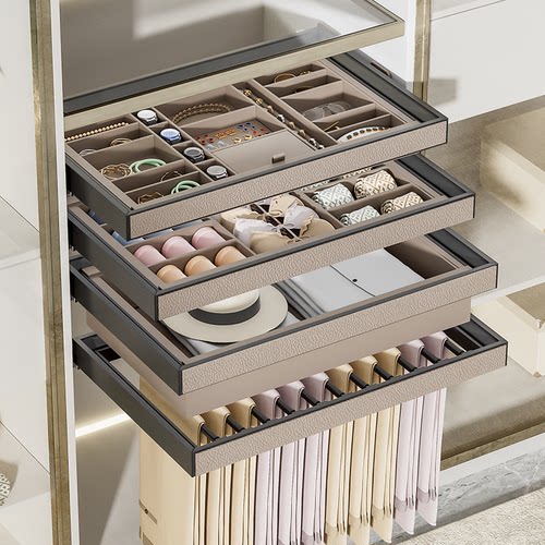 衣柜拉篮首饰盒格子抽裤架收纳