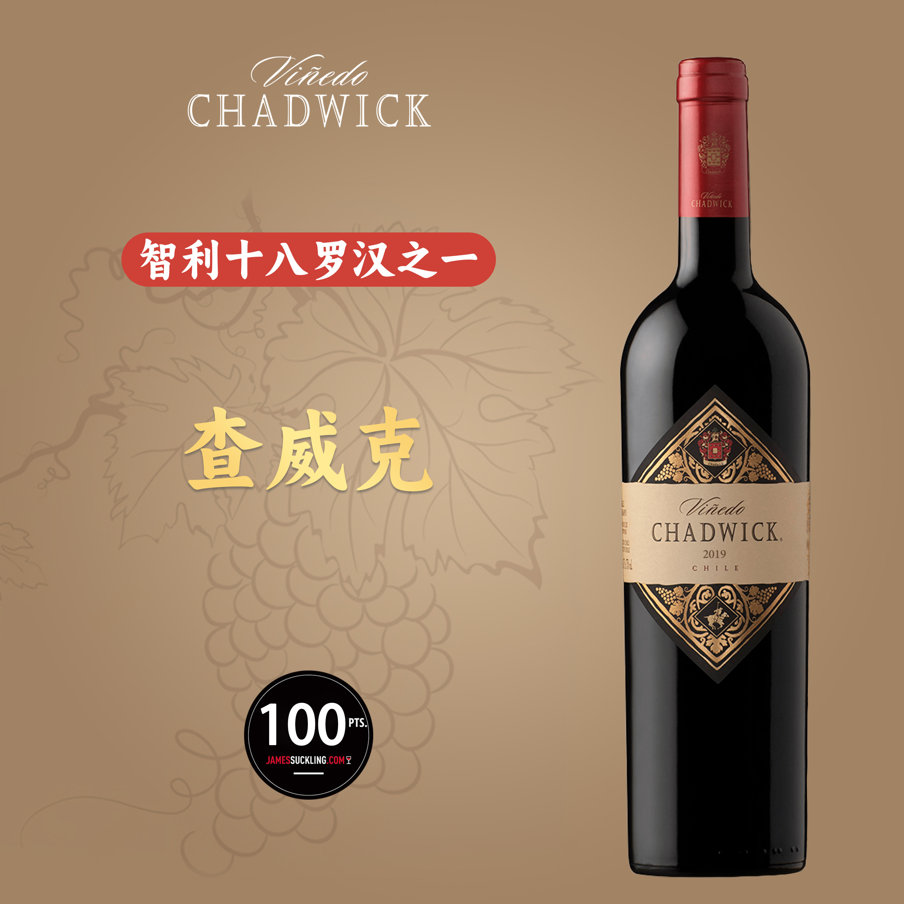 智利进口十八罗汉 查威克chadwick 赤霞珠干红葡萄酒2019