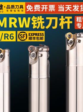 EMRW圆鼻铣刀杆抗震CNC数控刀具加硬1135铣刀杆BAP300R高精抗震型