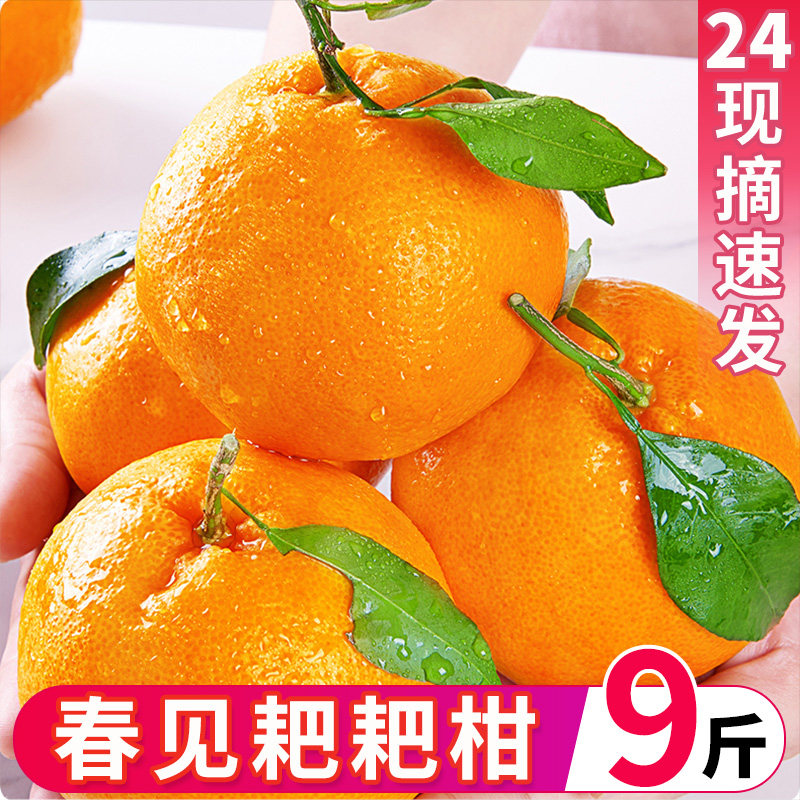四川春见耙耙柑橘子新鲜水果9斤整箱丑八怪橘子粑粑桔子包邮柑橘,水产肉类/新鲜蔬果/熟食,桔子,淘宝优惠券,粉丝福利购,淘宝优惠卷