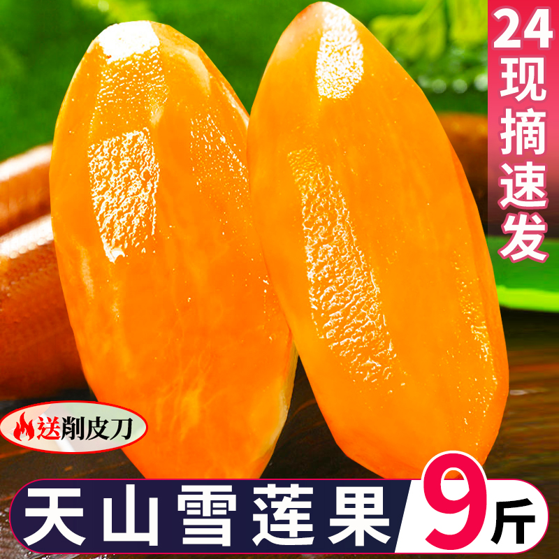 云南天山雪莲果现挖红心雪连果