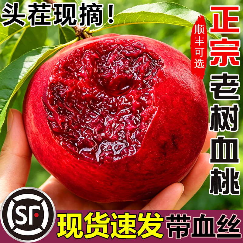 老树血桃5斤新鲜应当季大果