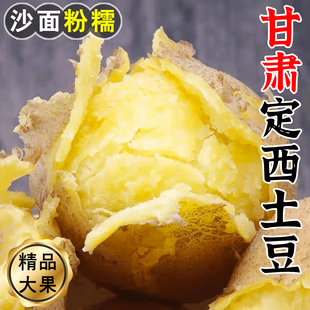 2025年甘肃定西土豆沙面新鲜黄心马铃薯旱沙地种植现挖农家自种