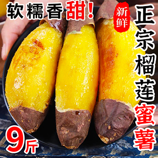 榴莲蜜薯新鲜黄金蜜薯地瓜正宗沙地现挖红薯香甜板栗红薯9斤整箱