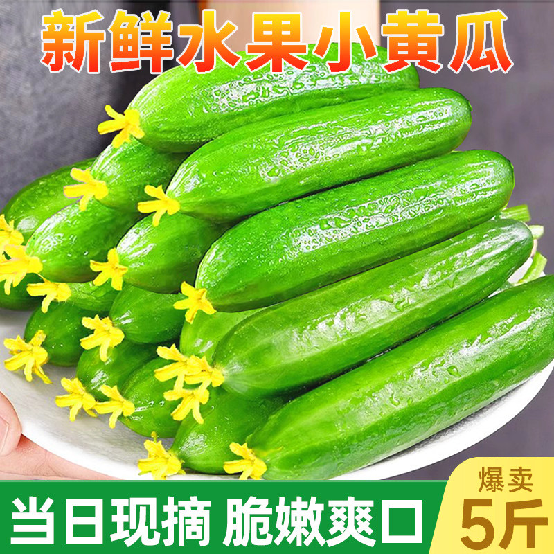 水果黄瓜新鲜生吃当季整箱小黄瓜