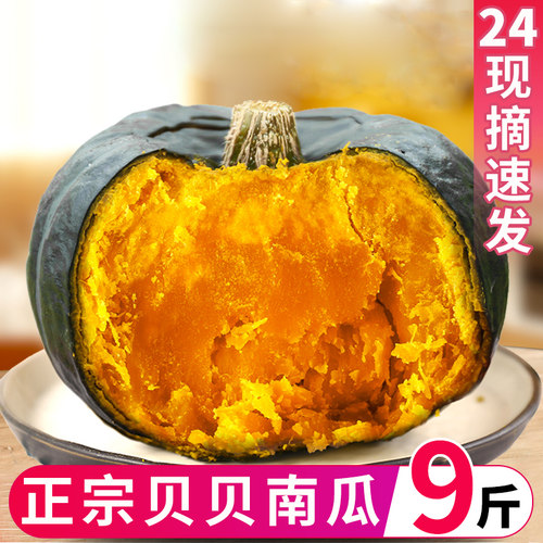 正宗板栗味日本小南瓜新鲜香甜