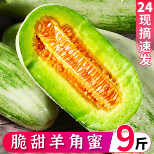 包邮 山东羊角蜜甜瓜10斤新鲜水果当季 脆蜜瓜香瓜博洋5羊角脆整箱