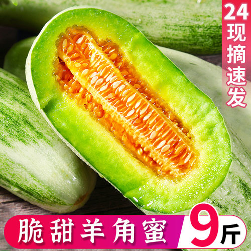 山东羊角蜜甜瓜新鲜水果当季脆