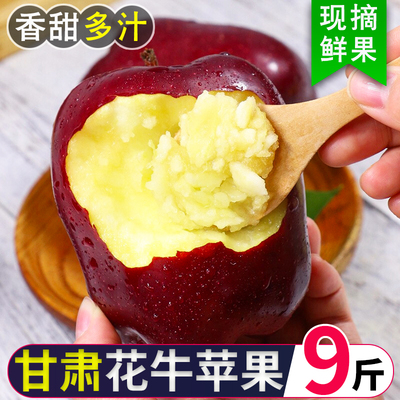 正宗天水花牛苹果甘肃新鲜水果