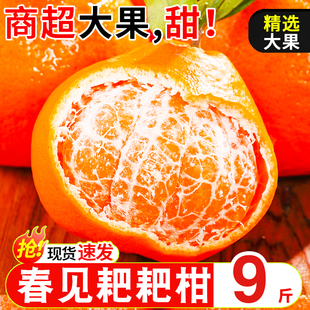 正宗四川春见耙耙柑当季新鲜眉山粑粑柑孕妇水果丑柑柑橘整箱包邮