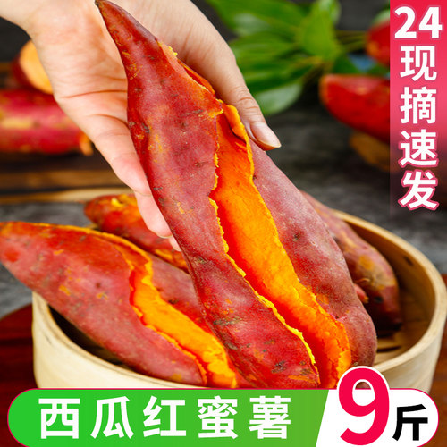 新鲜西瓜红薯超甜烤蜜薯