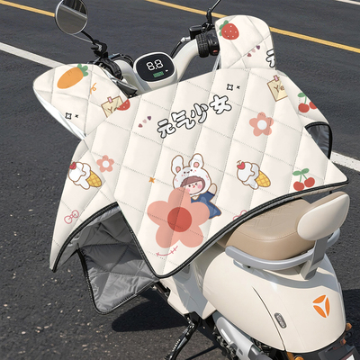 四季出行加厚保暖全包挡风罩