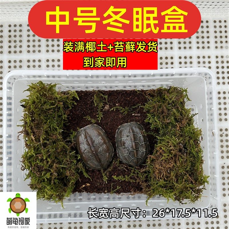 乌龟冬眠用品巴西龟过冬椰土苔藓草沙土垫材保温冬眠缸乌龟冬眠箱,工业油品/胶粘/化学/实验室用品,实验室漏斗,淘宝优惠券,粉丝福利购,淘宝优惠卷
