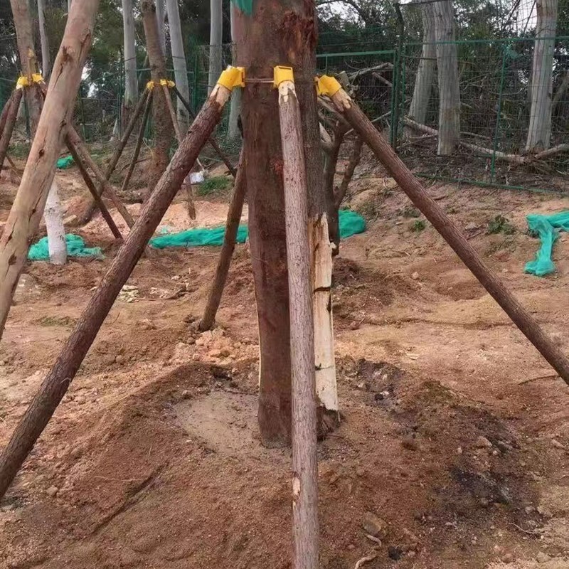 树木支撑a架果树木棍固定器绿化树苗伸缩杆大树支架苗木树干护树