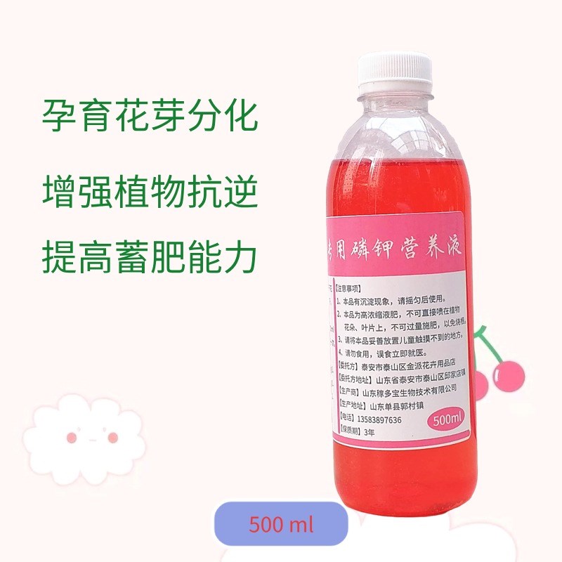 北美冬青磷钾营养液室r内盆栽植物水培鲜枝条年霄花液体养花肥