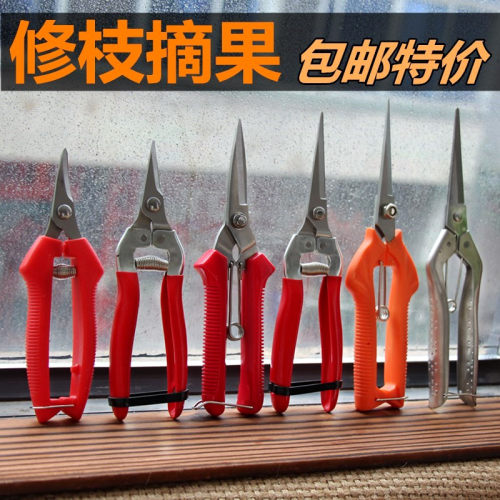 葡萄采果桔子蔬果剪枝修枝摘果剪园艺果树修果工具摘水果剪刀神器