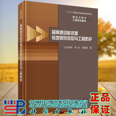 正版新现货精装超高速动能武器钻地毁伤效应与工程防护岩石力学与工程研究著作丛书十三五国家重点出版规划项目王明洋等科学出版社