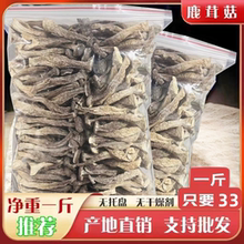鹿茸菇干货特级旗舰店包装袋500克鹿茸菌云南特产新鲜营养菌菇干