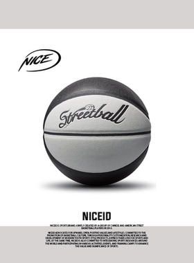 NICEID NICE篮球室内外耐磨青少年儿童比赛标准7号蓝球框送打气筒