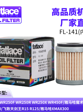 雅马哈WR250F WR250R WR250X WR450F/雅马哈魔术师250 WR250/