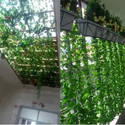 仿真绿萝叶假花藤条葡萄树叶吊顶管道装饰藤蔓塑料绿植物缠绕遮挡