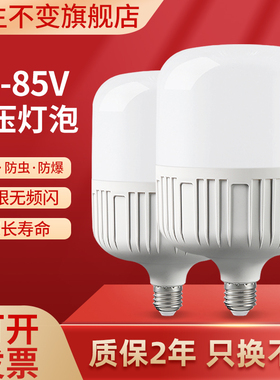 低压灯泡12vled灯摆摊灯夜市灯电动车电瓶灯24V36V48V90V直流球泡