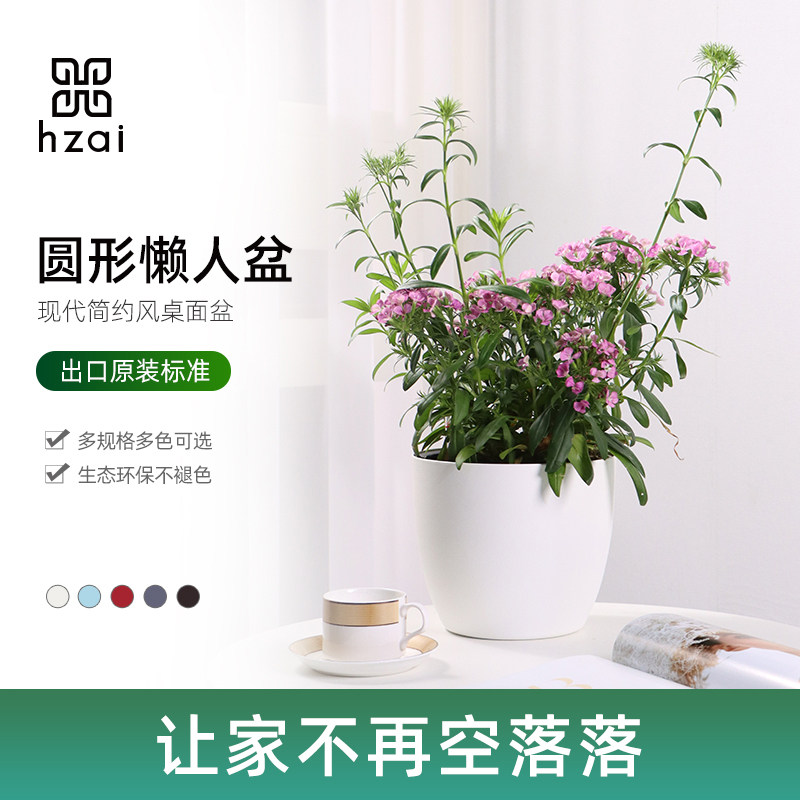 pp树脂简约现代自吸水花盆懒人图片