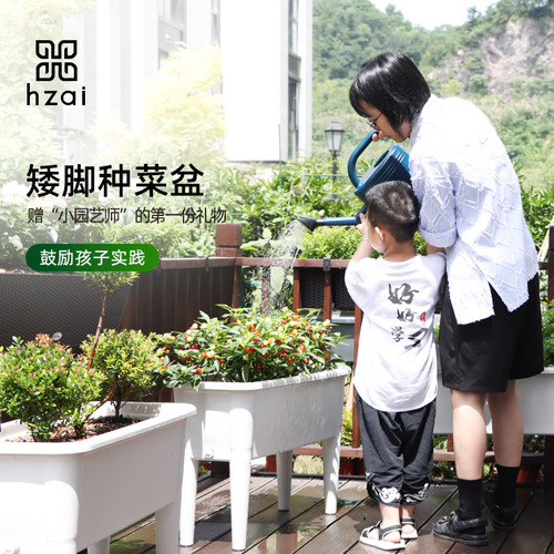 塑料简约环保抗菌种菜不弯腰