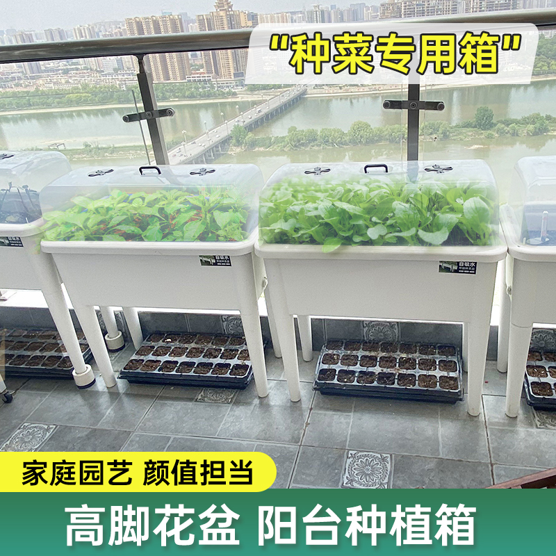 种菜专用盆阳台庭院PP树脂自吸水