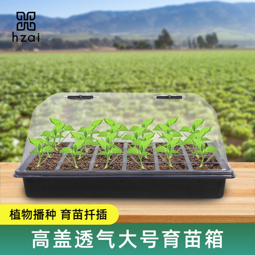 花植爱育苗盘多肉蔬菜培育盒