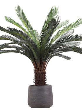 仿真大型苏铁植物盆栽假铁树客厅装饰绿植摆件落地仿生工艺苏铁树