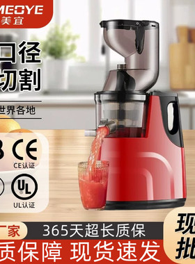 大口径榨汁机渣汁分离汁鲜榨果蔬