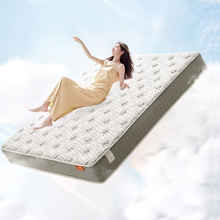 天禧派独立弹簧床垫席梦思抗静电抑菌防螨天然乳胶床垫CDM005