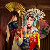 戏曲用生花旦h越剧小扇曲贵妃子品金戏小生扇子扇醉酒i.