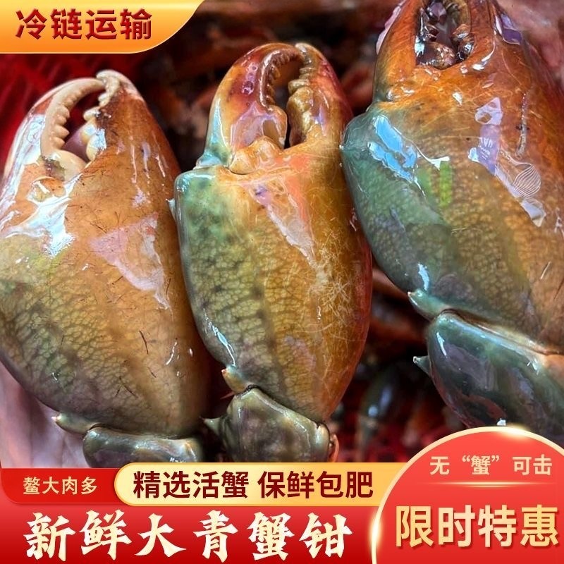 新鲜现取青蟹钳活冻螃蟹腿商用餐馆批发蟹脚鳌大肉多特大鲟脚,水产肉类/新鲜蔬果/熟食,青蟹,淘宝优惠券,粉丝福利购,淘宝优惠卷