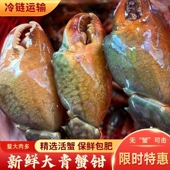新鲜现取青蟹钳活冻螃蟹腿商用餐馆批发蟹脚鳌大肉多特大鲟脚