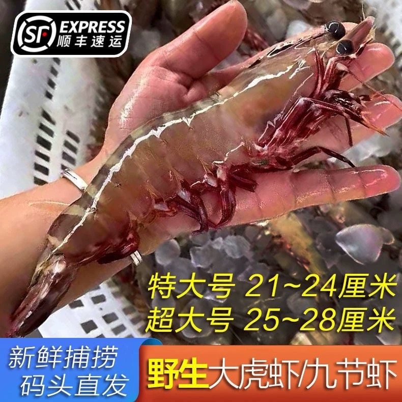野生红爪虾黑虎虾斑节虾超大海虾海鲜水产竹节虾花虾鲜活速冻大虾