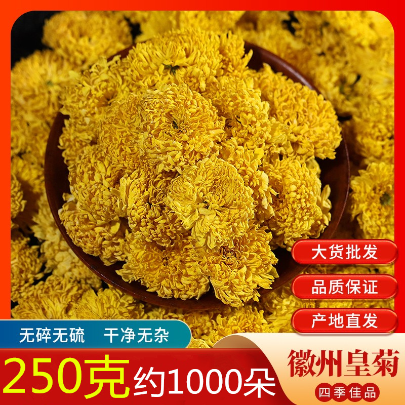 黄山徽州皇菊婺源黄菊金丝菊花皇菊贡菊花大朵泡水干菊花茶菊花茶