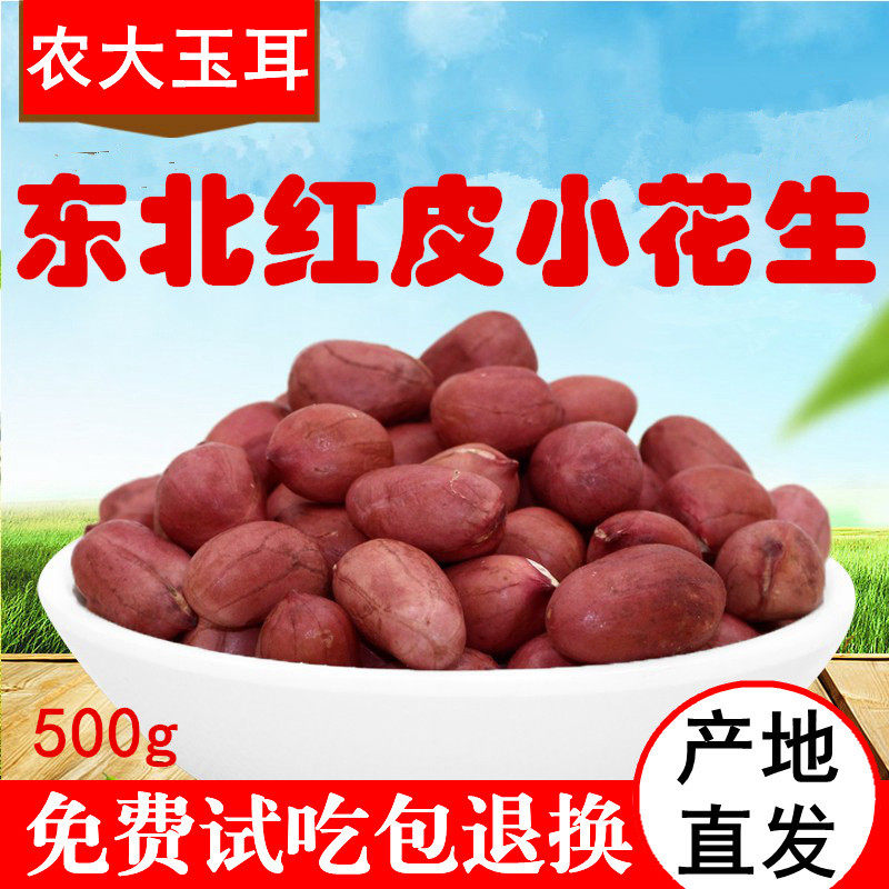 东北红皮小花生农大玉耳