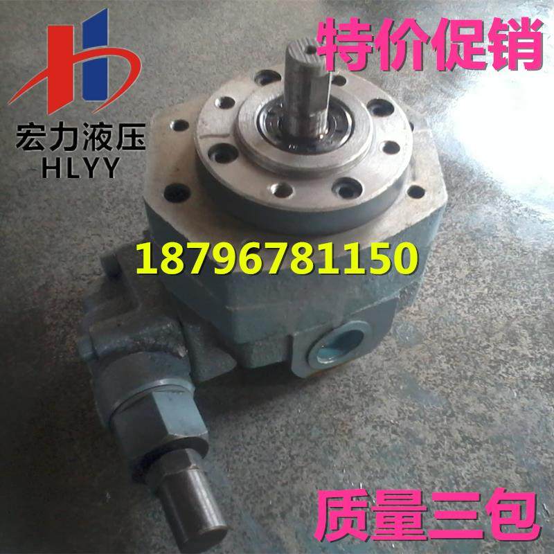 新款BB-B16Y/B20Y/B25Y/B32Y摆线转子齿轮油泵带调压滤油车润包邮,五金/工具,其他类型泵,淘宝优惠券,粉丝福利购,淘宝优惠卷