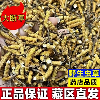 【处理断草】断虫冬虫夏草官方旗舰店非西藏那曲野生虫草正品干货