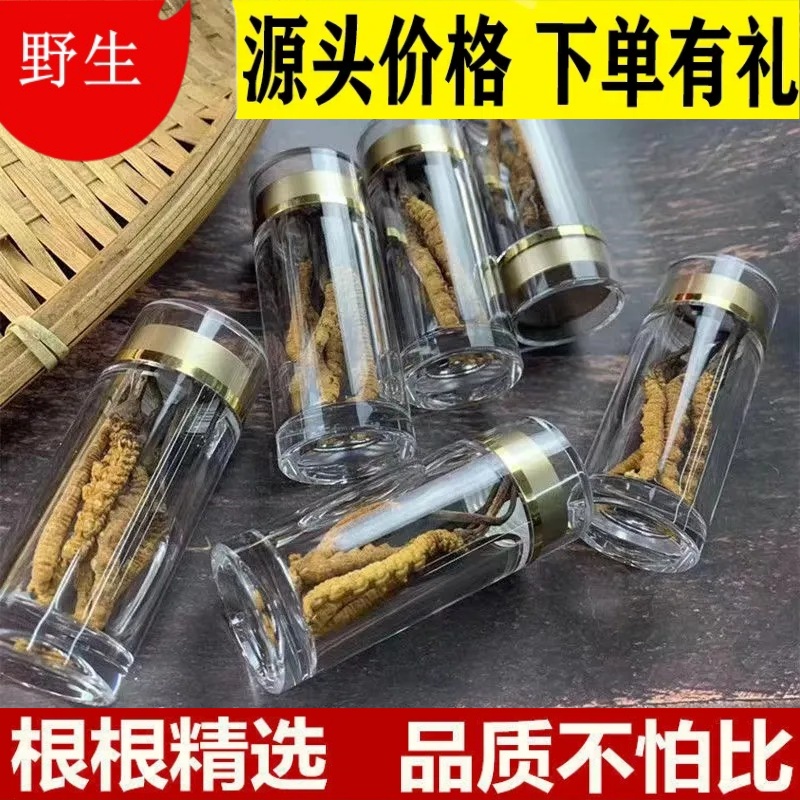 新鲜干货高原虫草旗舰店非西藏那曲野生冬虫夏草断草正品干货礼盒