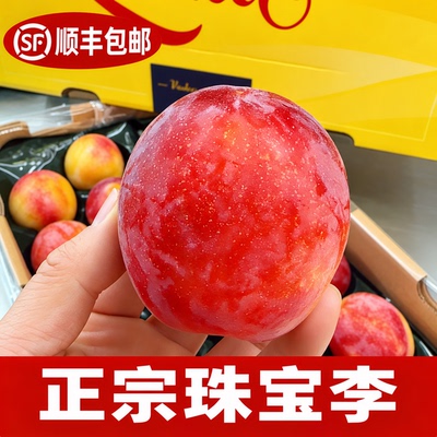 顺丰包新鲜珠宝李安格诺黄肉恐龙蛋李子酸甜脆孕妇水果当季现摘发