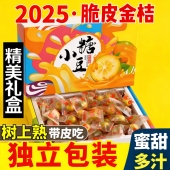 独立包装 广西融安脆皮金桔脆甜带皮吃新鲜孕妇水果小糖包礼盒