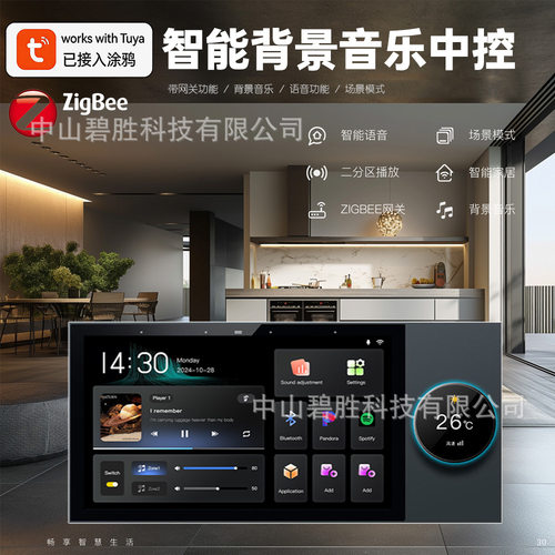 涂鸦智能中控屏10寸wifi安卓主机带语音控制同轴吸顶喇叭套餐价