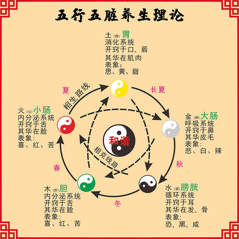 五行五脏中医养生理论易经学基础知识挂图相生相克身体自查装饰画