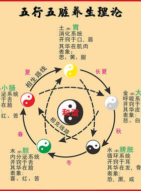 五行五脏中医养生理论易经学基础知识挂图相生相克身体自查装饰画