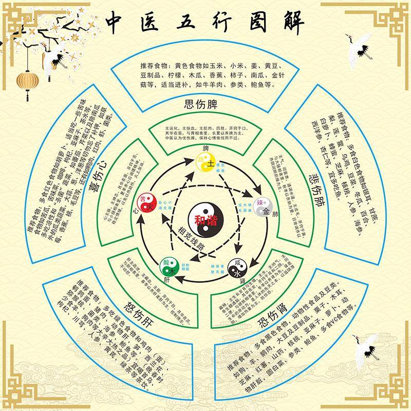 中医五行图解脏腑理论装饰画
