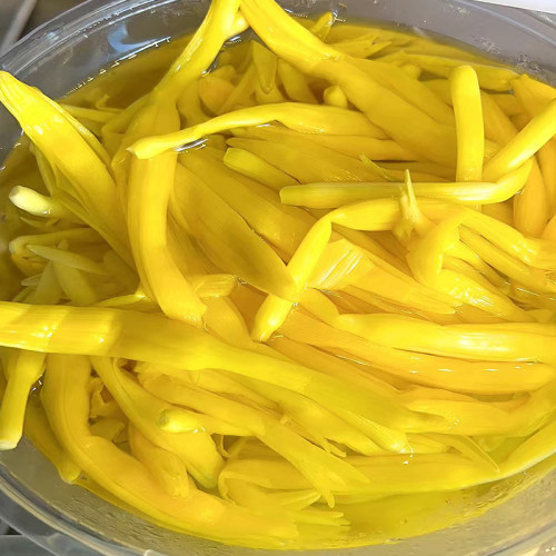 清水黄花菜金针菜火锅串串