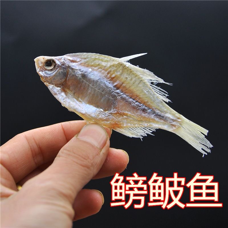 鳑鲏鱼干咸鱼干货安徽含盐腌制河鱼干烧菜小鳊鱼新鲜淡水鱼小鱼仔